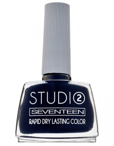 Studio Rapid Dry Lasting Color 5201641729595